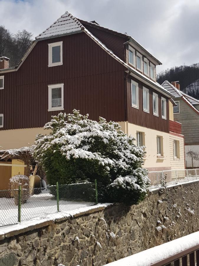 Haus Am Fluss Mit Wunderschoener Dachterrasse Mit Flussblick ,Garten Und Grill Zorge Buitenkant foto