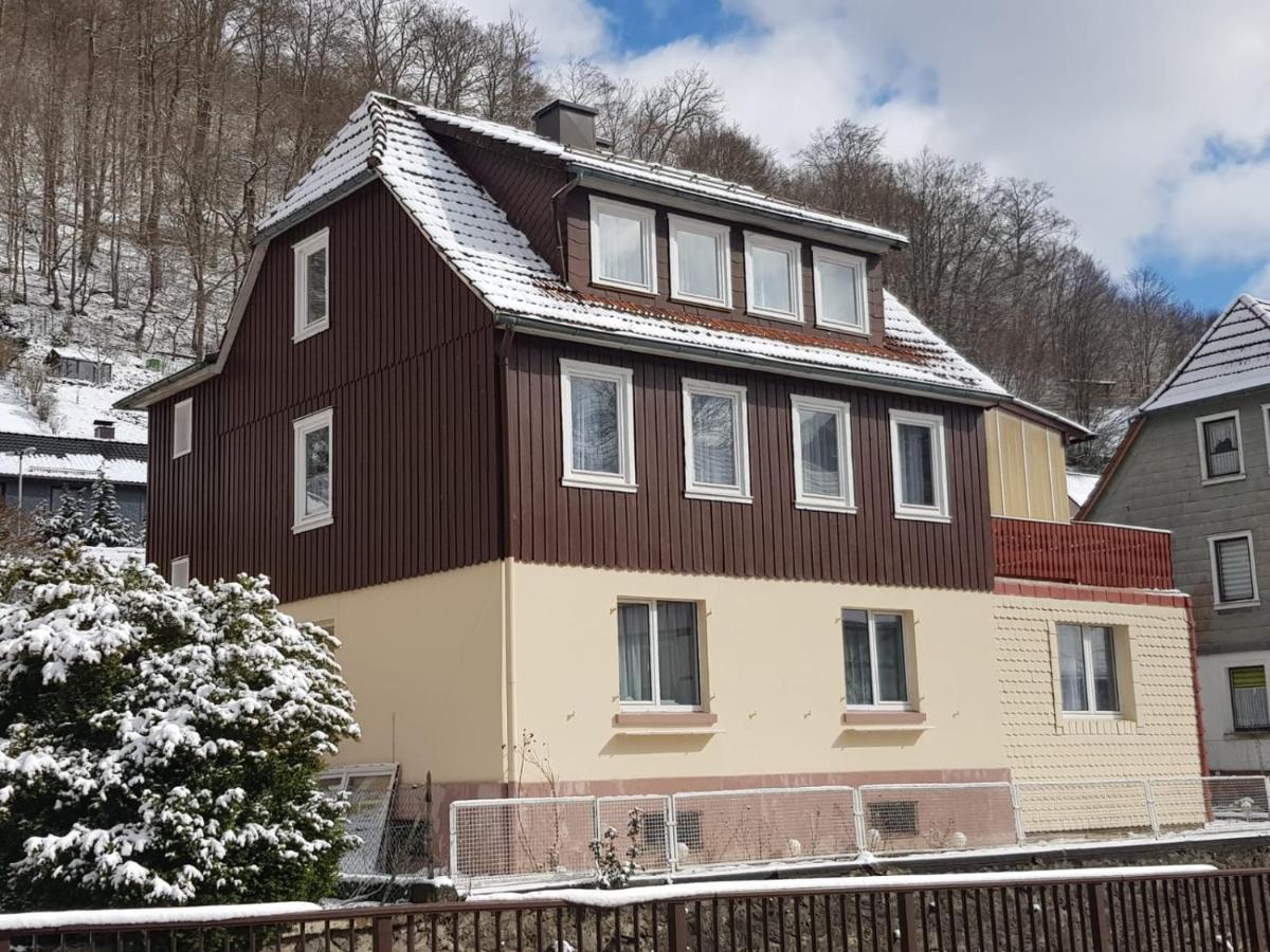 Haus Am Fluss Mit Wunderschoener Dachterrasse Mit Flussblick ,Garten Und Grill Zorge Buitenkant foto