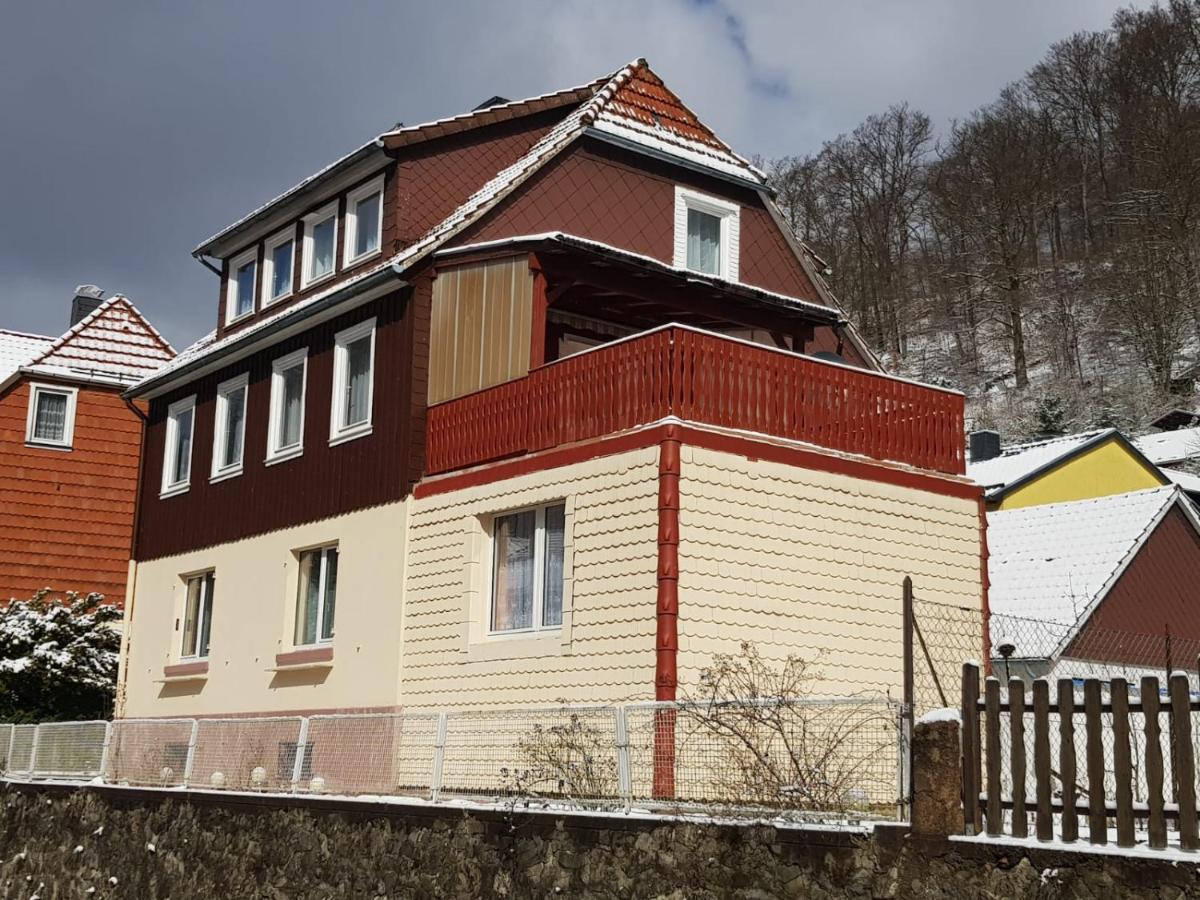 Haus Am Fluss Mit Wunderschoener Dachterrasse Mit Flussblick ,Garten Und Grill Zorge Buitenkant foto