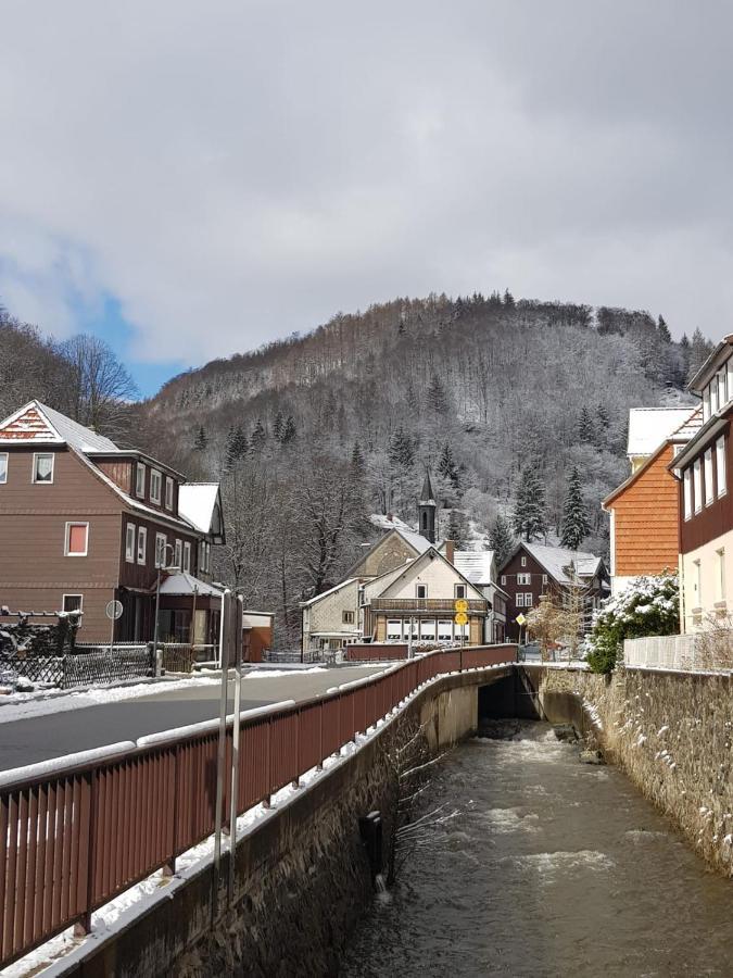Haus Am Fluss Mit Wunderschoener Dachterrasse Mit Flussblick ,Garten Und Grill Zorge Buitenkant foto