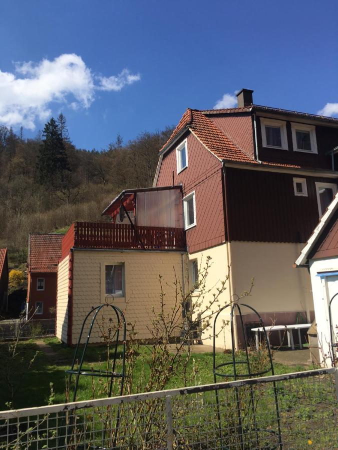 Haus Am Fluss Mit Wunderschoener Dachterrasse Mit Flussblick ,Garten Und Grill Zorge Buitenkant foto