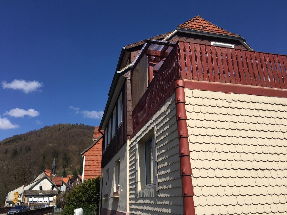 Haus Am Fluss Mit Wunderschoener Dachterrasse Mit Flussblick ,Garten Und Grill Zorge Buitenkant foto