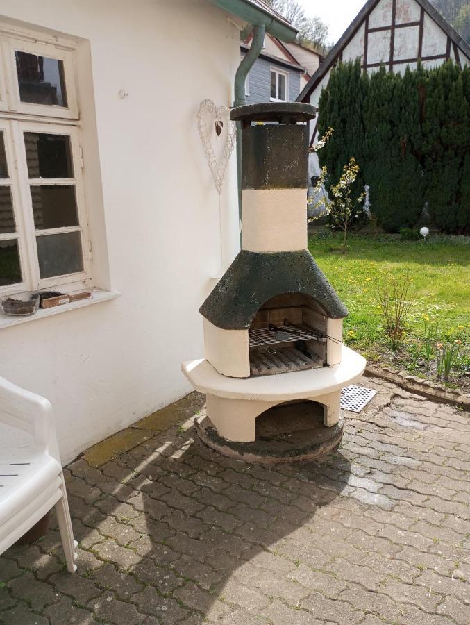 Haus Am Fluss Mit Wunderschoener Dachterrasse Mit Flussblick ,Garten Und Grill Zorge Buitenkant foto